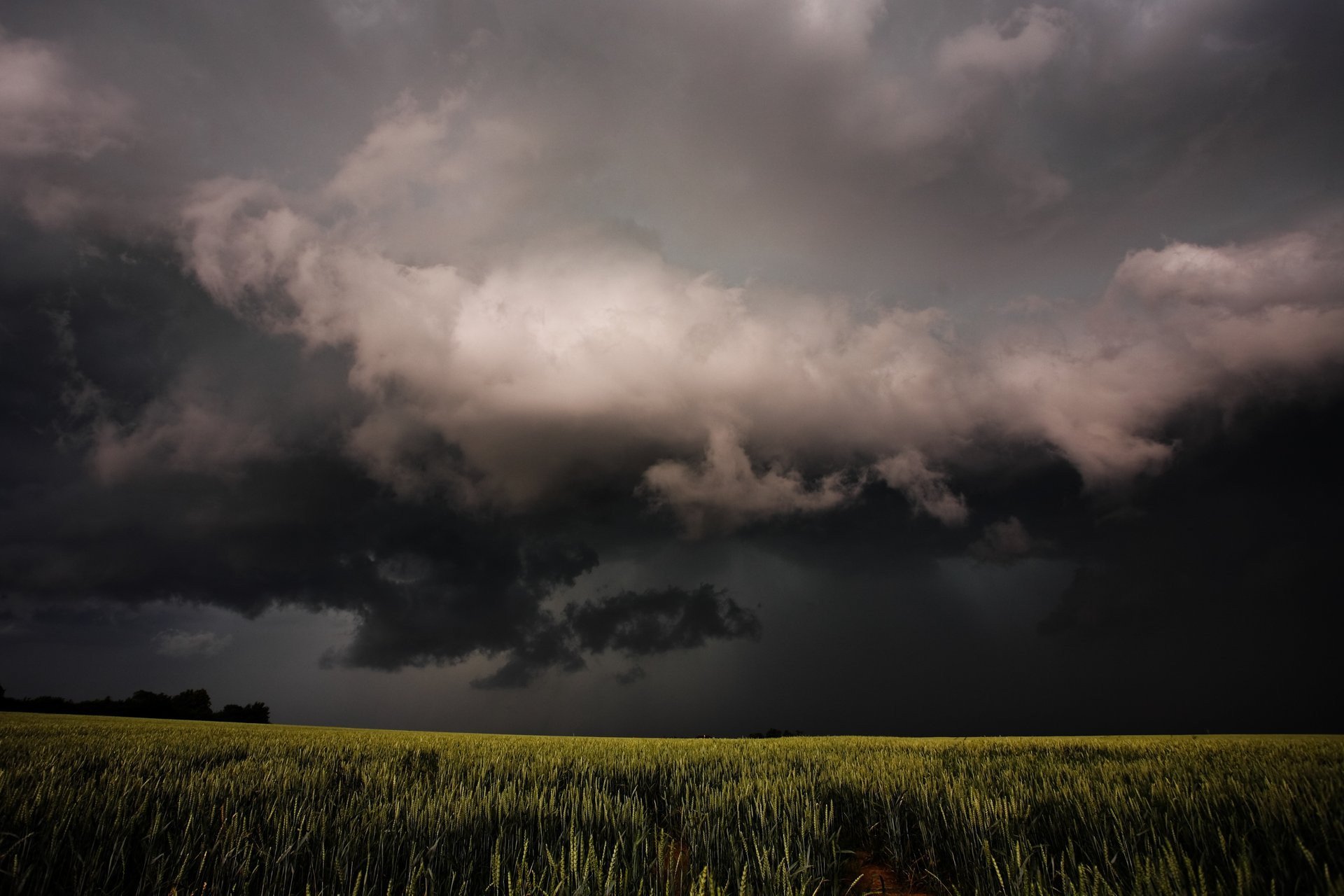 Uwaga: Burze/1 (14 powiatów) (01.08 06:25)