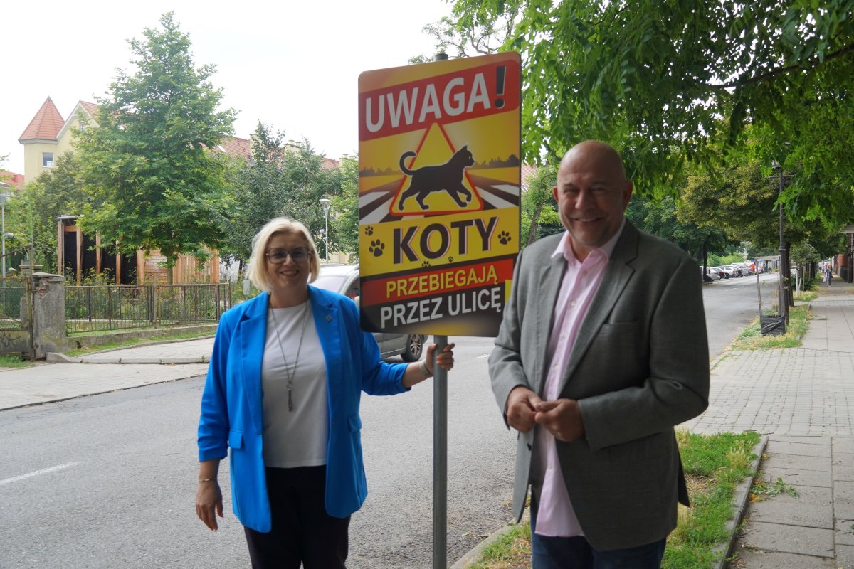 W Gnieźnie pojawiły się tablice informacyjne „Uwaga koty!”. „Ten znak jest głosem tych zwierząt, które żyją wśród nas”