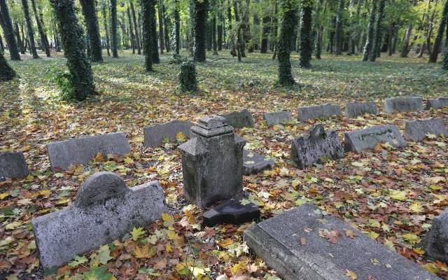 W tym parku trudno się nie bać. Bluszcz, groby, mrok i... gęsia skórka. To najbardziej mroczny i tajemniczy i dający ochłodę park