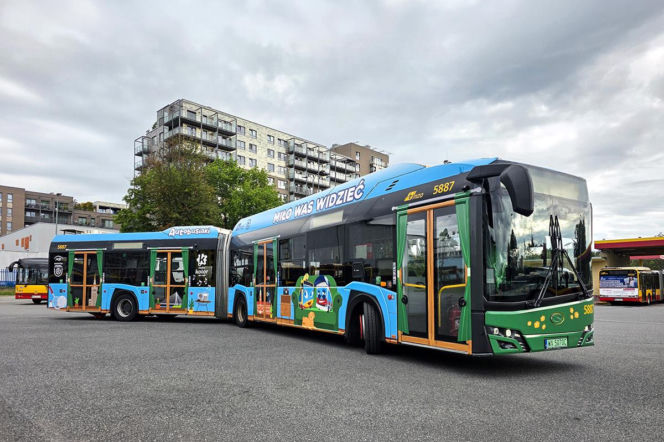Niebieski, przegubowy autobus oklejony w wakacyjne grafiki. O nowej linii w stolicy przeczytasz na Radioplus.