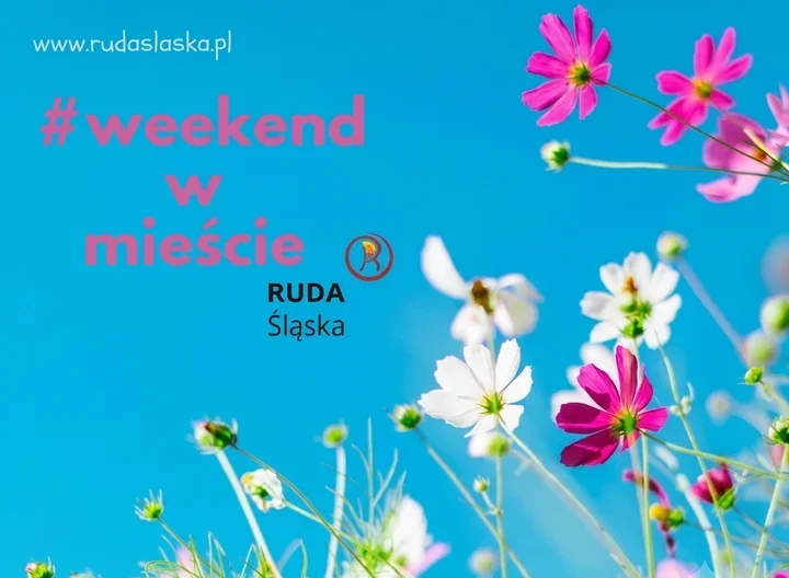 Wakacyjny weekend w Rudzie Śląskiej. Muzyka, joga i dinozaury
