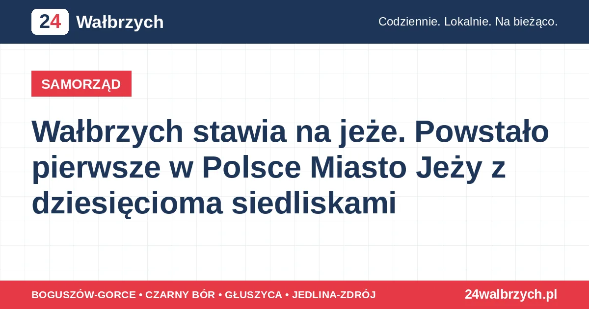 Wałbrzych stawia na jeże. Powstało pierwsze w Polsce Miasto Jeży z dziesięcioma siedliskami