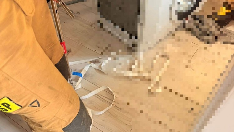 Wąż w budynku mieszkalnym. Akcja strażaków