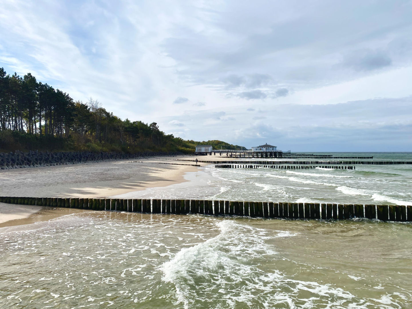 WIADOMOŚCI Cholera w Bałtyku? Zaskakujące odkrycie naukowców