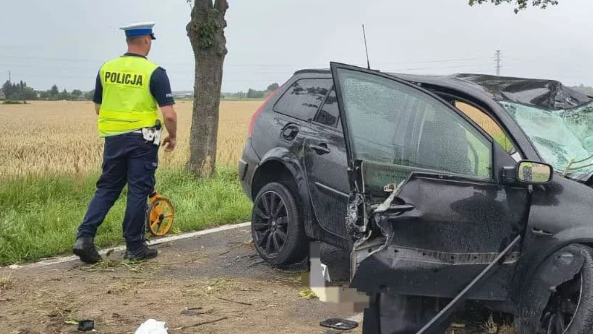 WiadomościTragedia na drodze w Wielkopolsce Nie żyje 18-letni kierowca