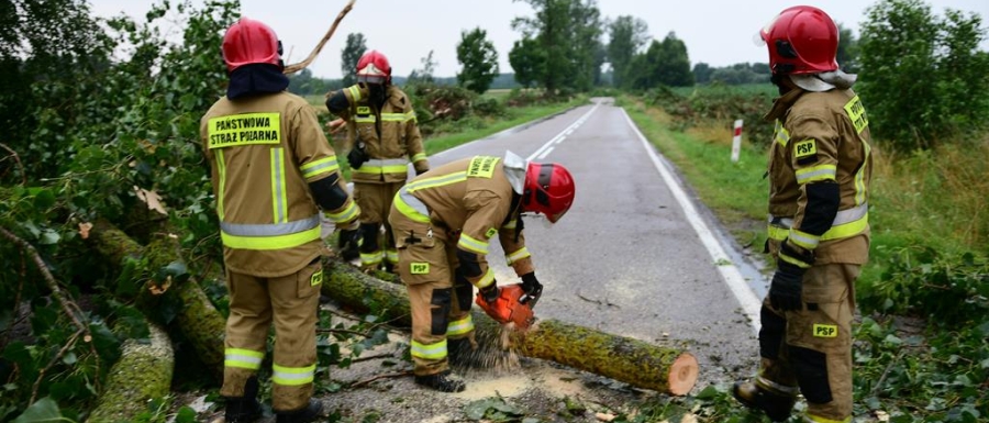 Wiatr łamał drzewa i konary. 14 interwencji strażaków