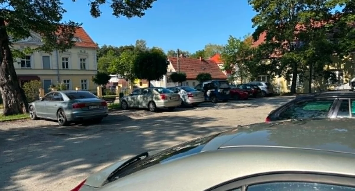 Więcej parkingów czy więcej zieleni? W jak…