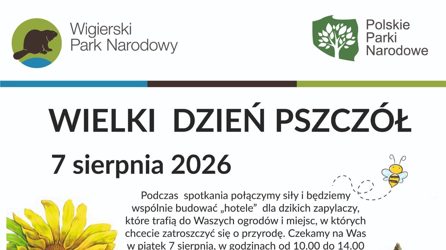 Wielki Dzień Pszczół w Wigierskim Parku Narodowym. Powstaną domki dla dzikich zapylaczy