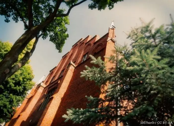Wieniec z plonów może zdobyć 5 tys. zł. Rusza konkurs dożynkowy