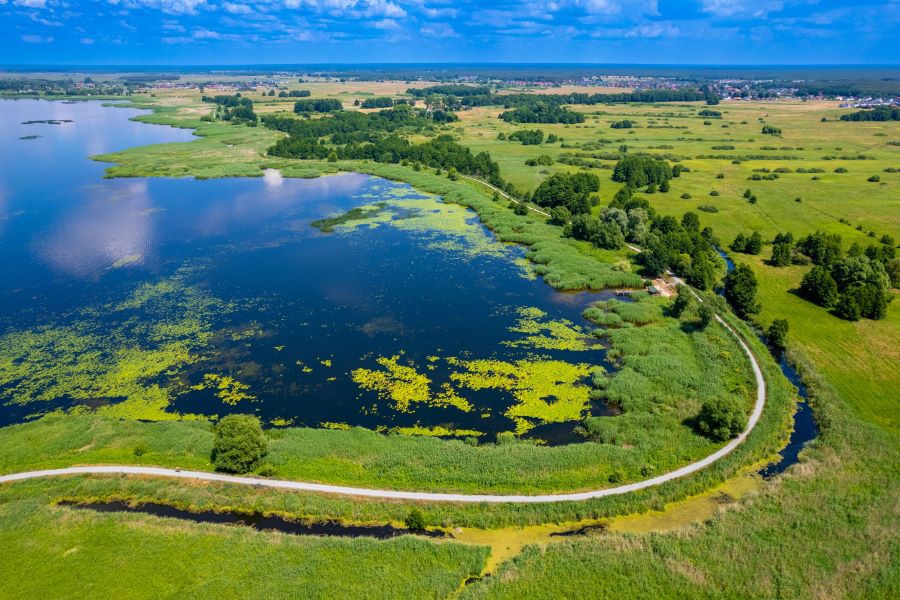 Jezioro Dąbie