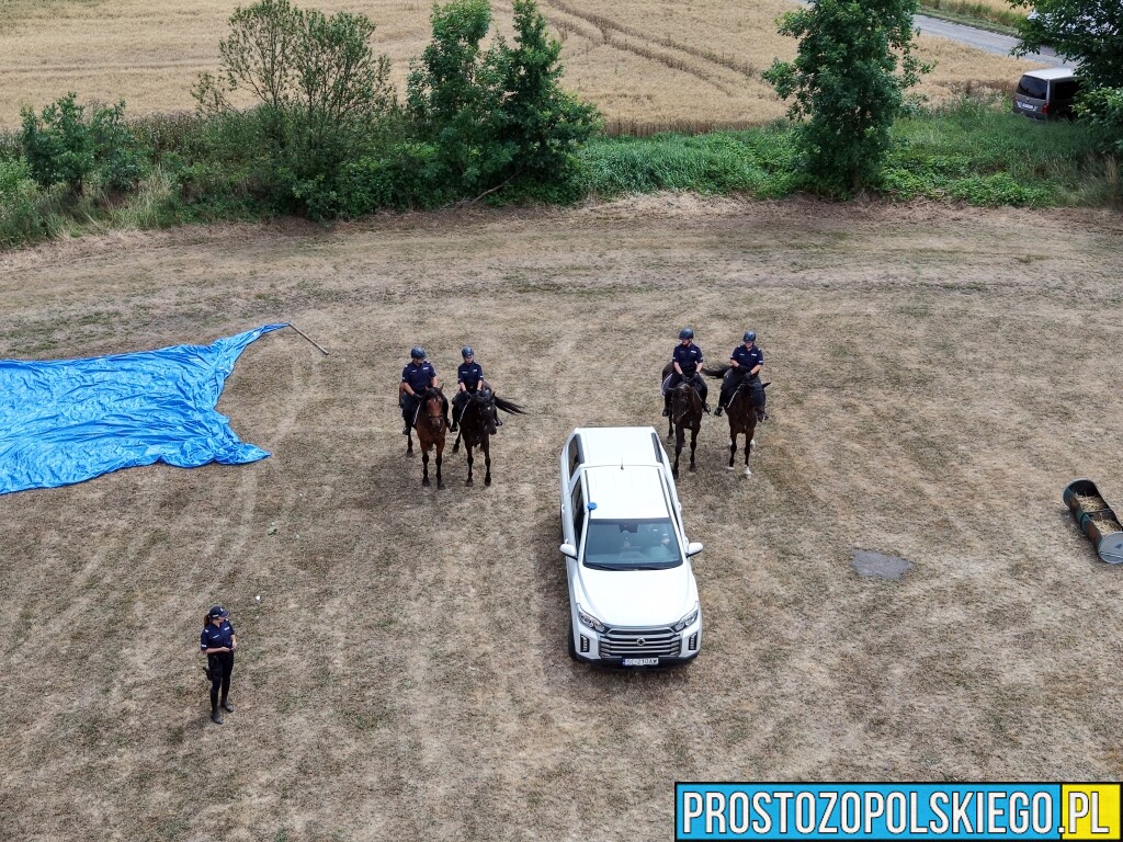 Wojewódzkie Święto Policji w Krapkowicach