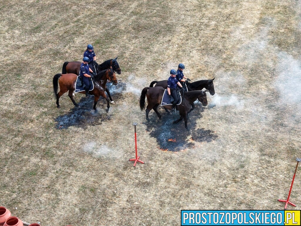 Wojewódzkie Święto Policji w Krapkowicach