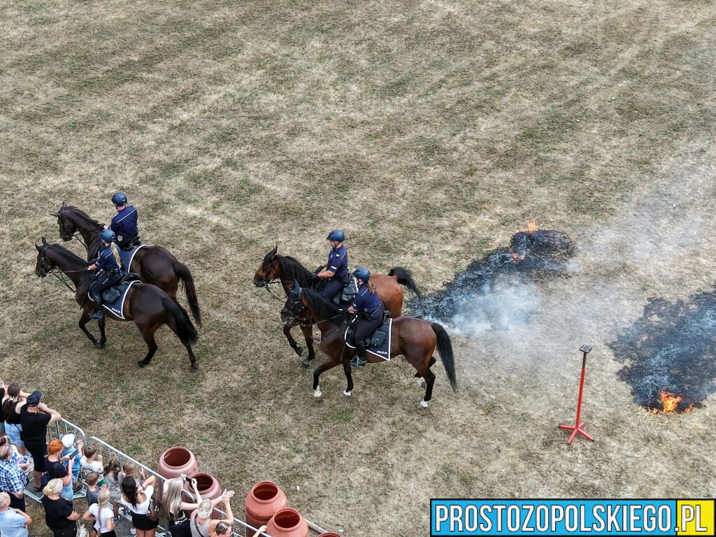 Wojewódzkie Święto Policji w Krapkowicach