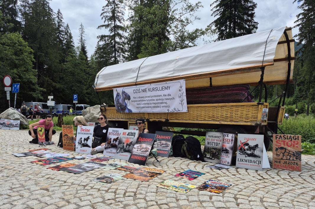 Wozy konne nie kursują do Morskiego Oka. Fiakrzy reagują na protest aktywistów