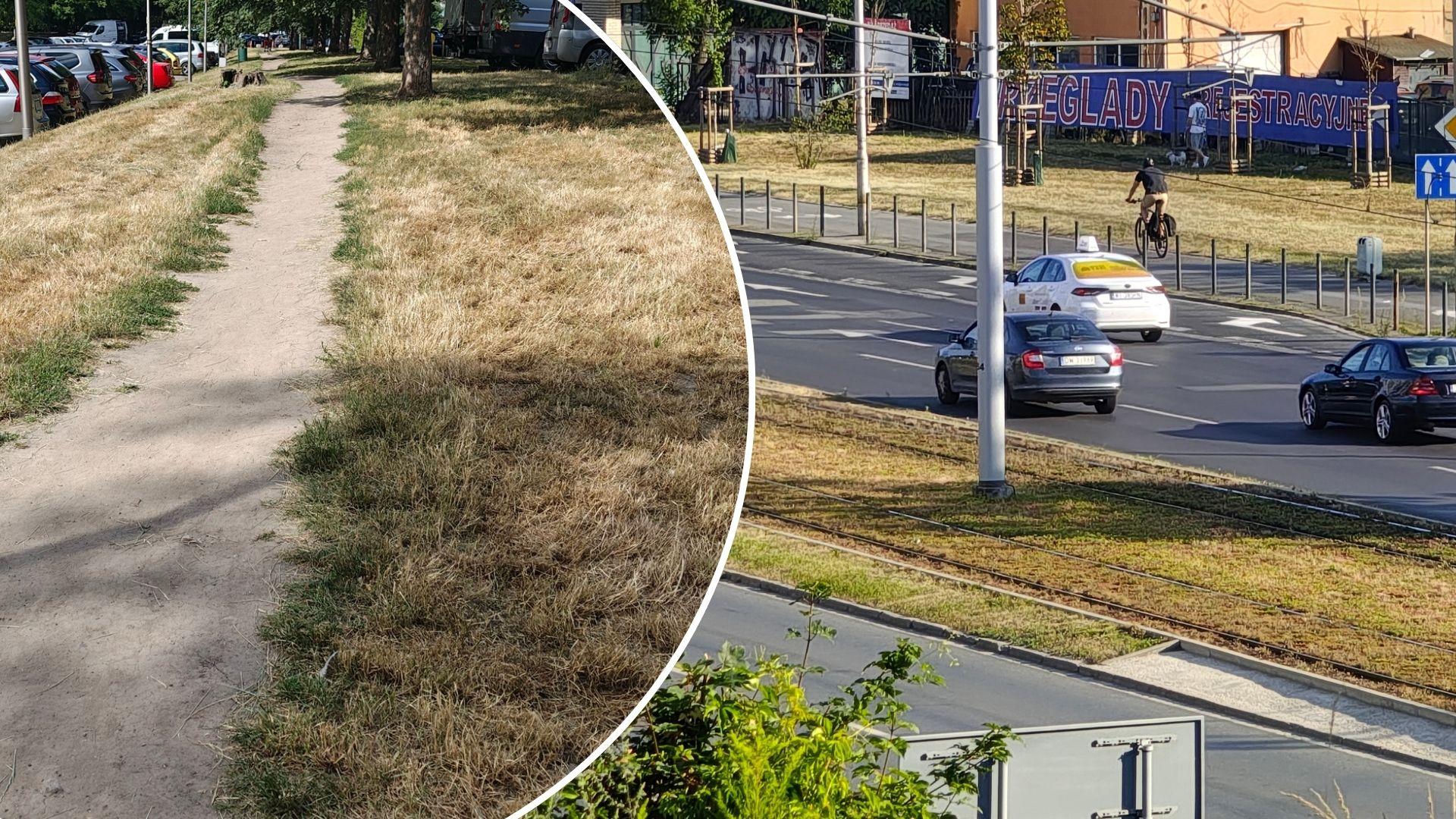 Wrocław jak pustynia! Miasto wysycha na wiór. Przerażające zdjęcia