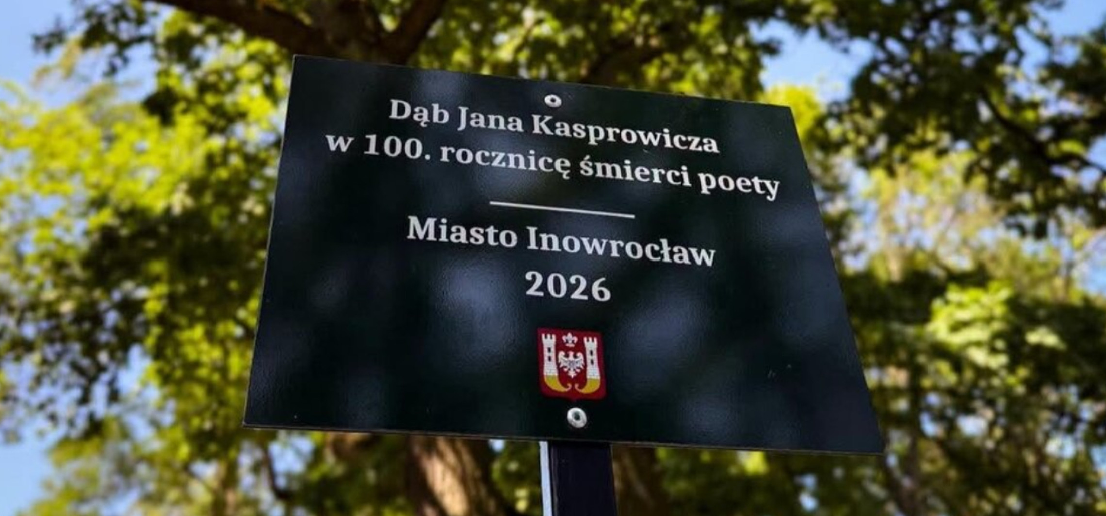 Wyjątkowe drzewo z nowym oznaczeniem