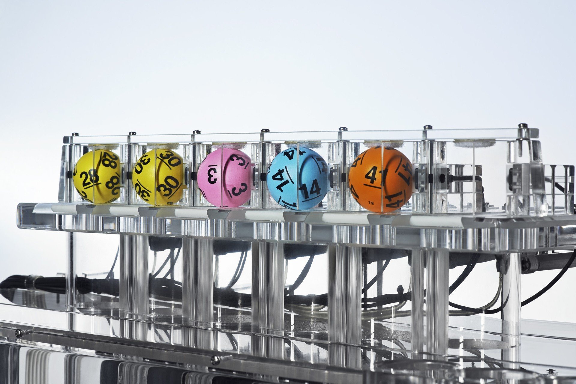 Wyniki Lotto z 31.07.2026. Dostępne kolektury w Stalowej Woli