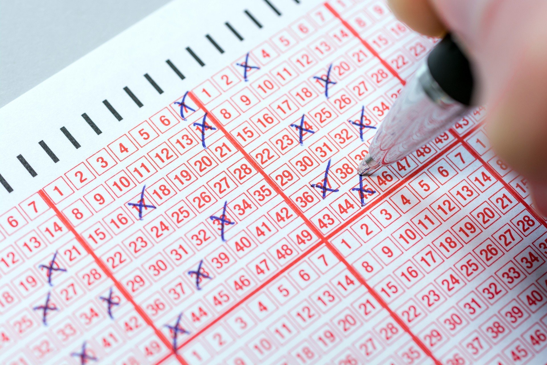 Wyniki Lotto z 9.07.2026 – sprawdź kolektury w Rynie