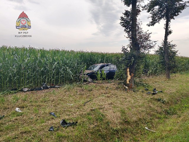 Wypadek na DK11. Samochód uderzył w drzewo, zatrzymał się w kukurydzy