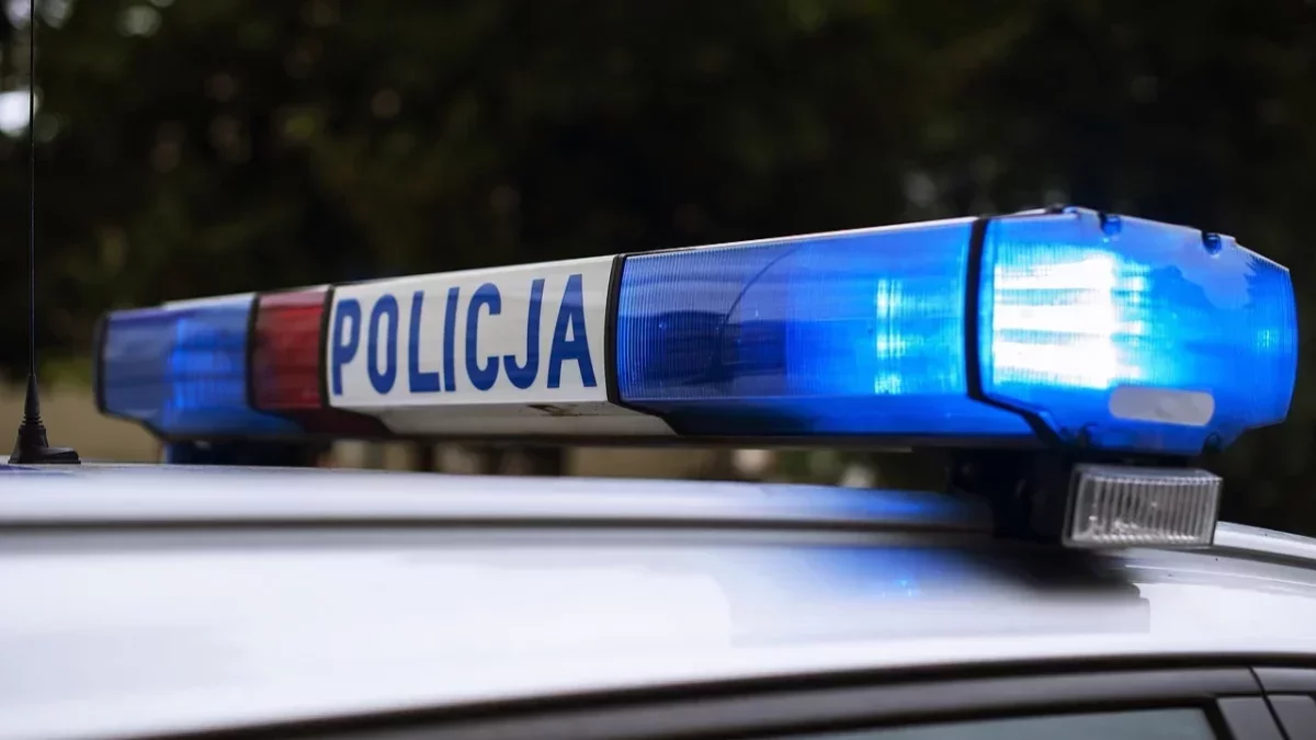 Wypadek na DW 209. Trzy osoby trafiły do szpitala
