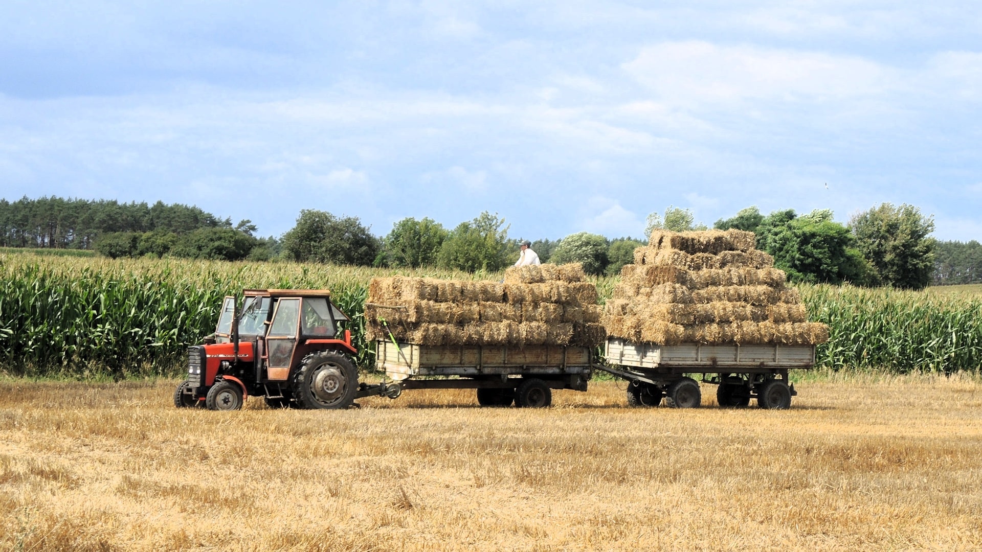 Wysokie ceny paliw obniżają opłacalność produkcji rolniczej