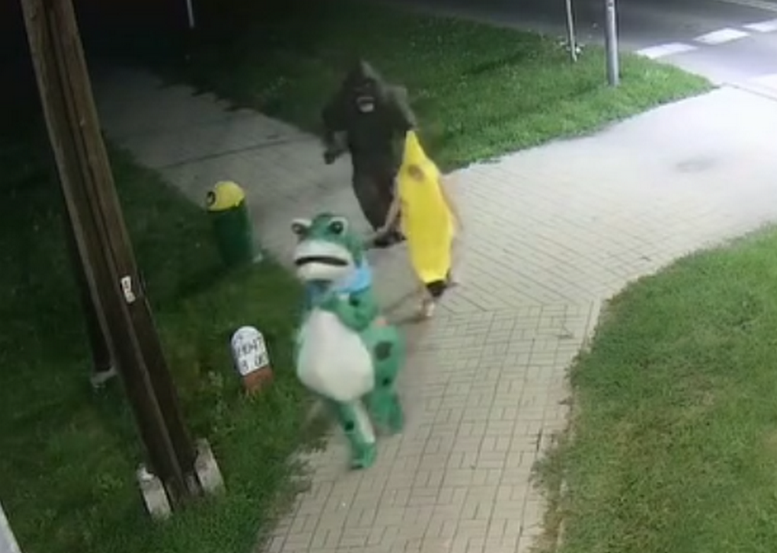 Żaba, Banan i Goryl spacerowali po Włodawie. Nietypowych przechodniów nagrał monitoring
