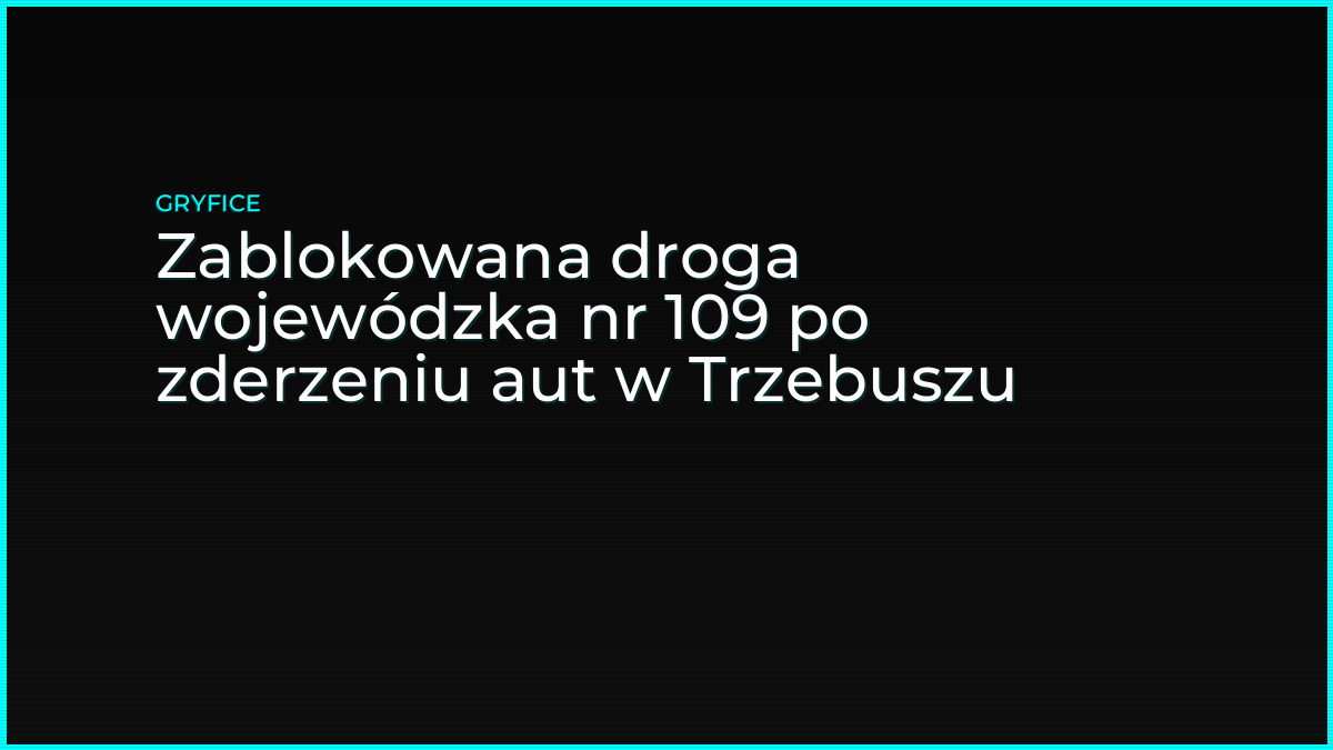 Zablokowana droga wojewódzka nr 109 po zderzeniu aut w Trzebuszu