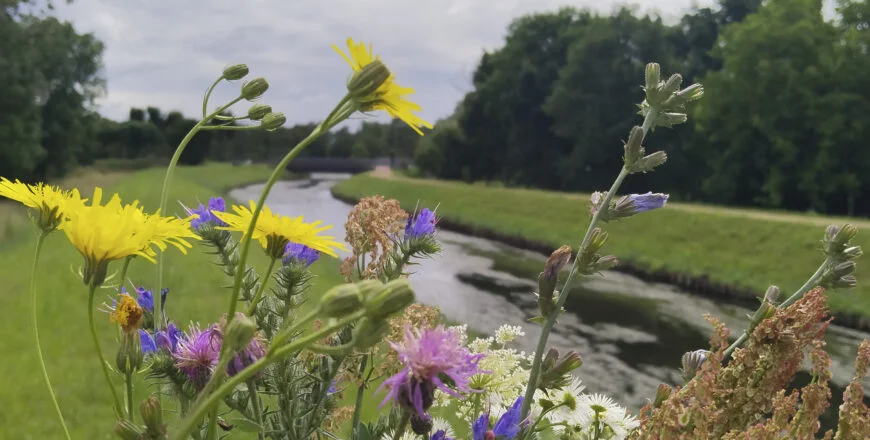 Zabrze: Wakacyjny spacer po Maciejowie 8 sierpnia – historia dzielnicy w 5 km trasie