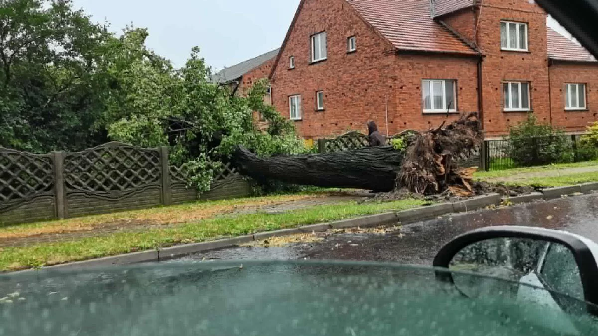 Zacznie się za kilka godzin. Wydano ostrzeżenie meteorologiczne drugiego stopnia dla całego regionu