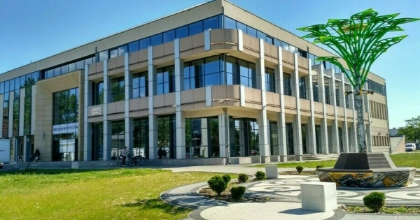 Zaczytają się w zieleni. Biblioteka w Stalowej Woli zmieni swój hol