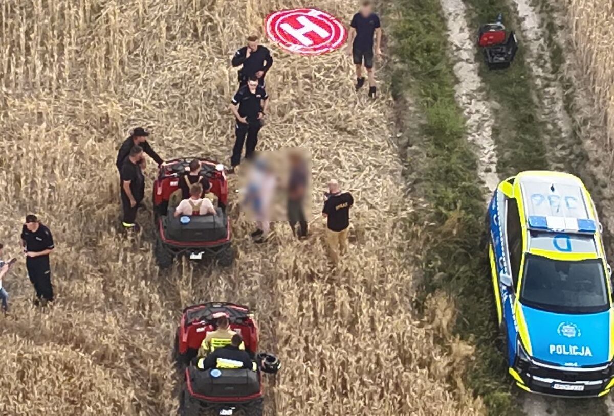 Zaginął podczas spaceru w lesie. 3,5-letniego chłopca odnaleziono kilometr od rodziców