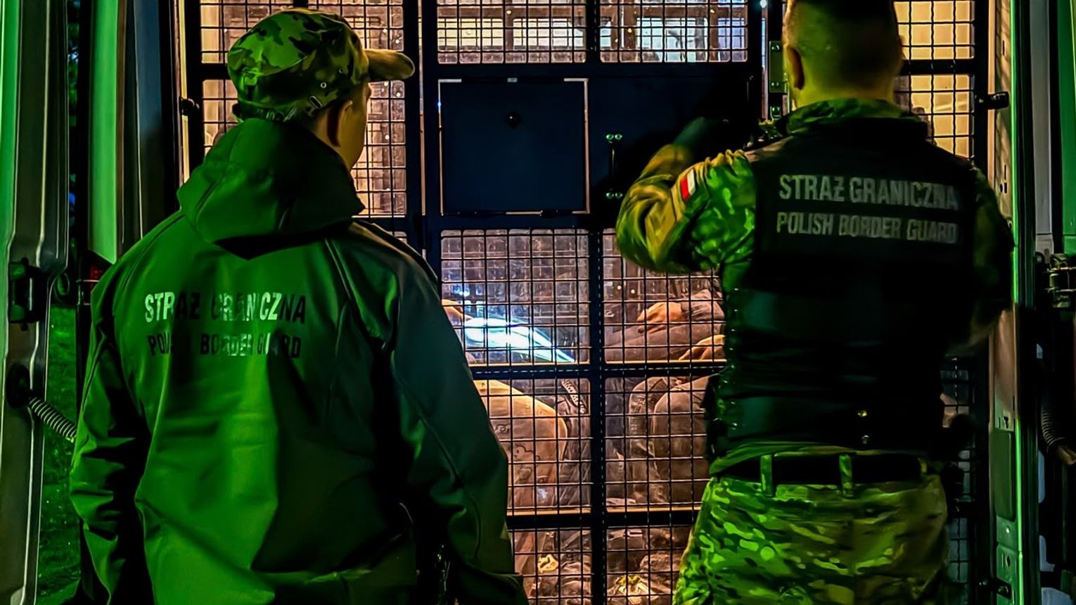 Zatrzymani przy granicy z Litwą. Siedmiu migrantów przekroczyło granicę pieszo