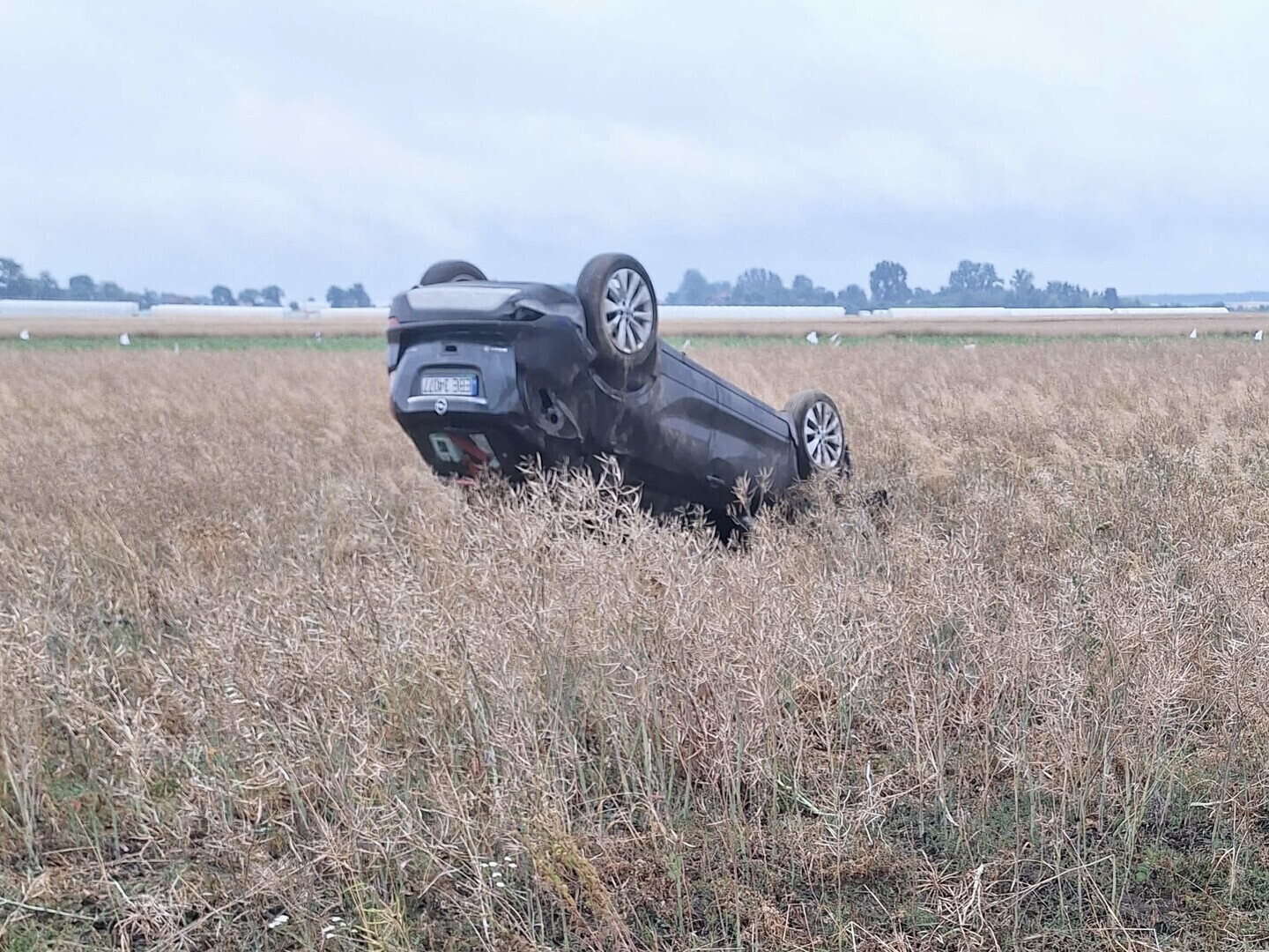 Zderzenie na drodze Piotrków–Bełchatów. Opel po zderzeniu uderzył w drzewo, dachował i wylądował w polu