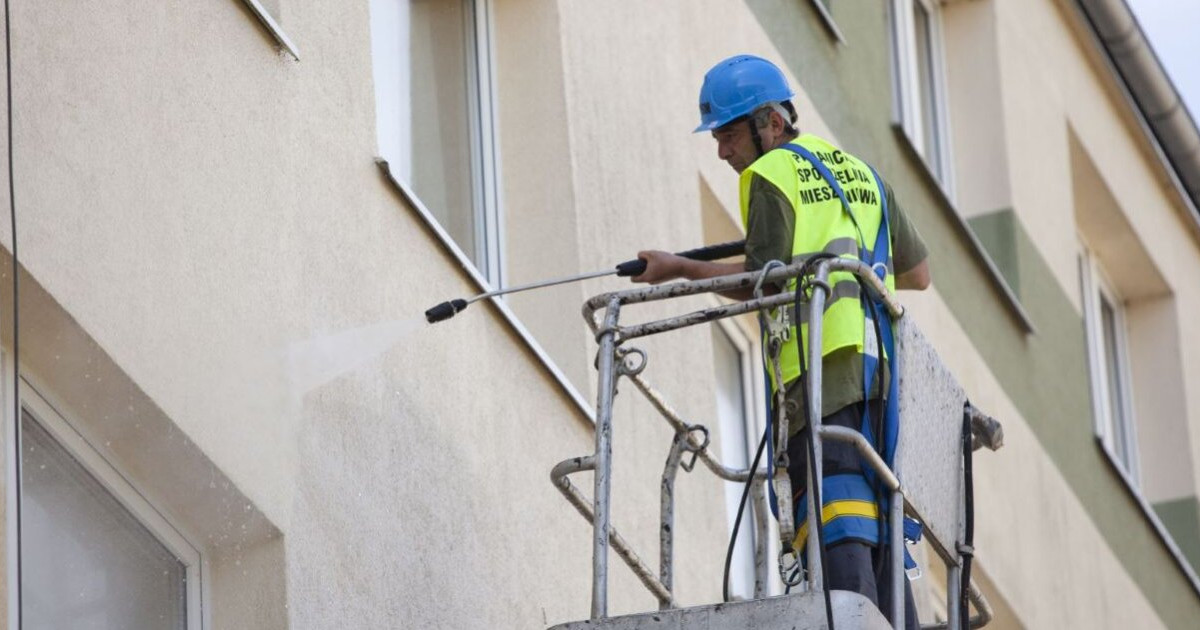 Zielone żywe na ścianach bloków. Co to jest?