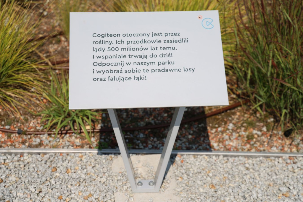 "Cogiteon dach"