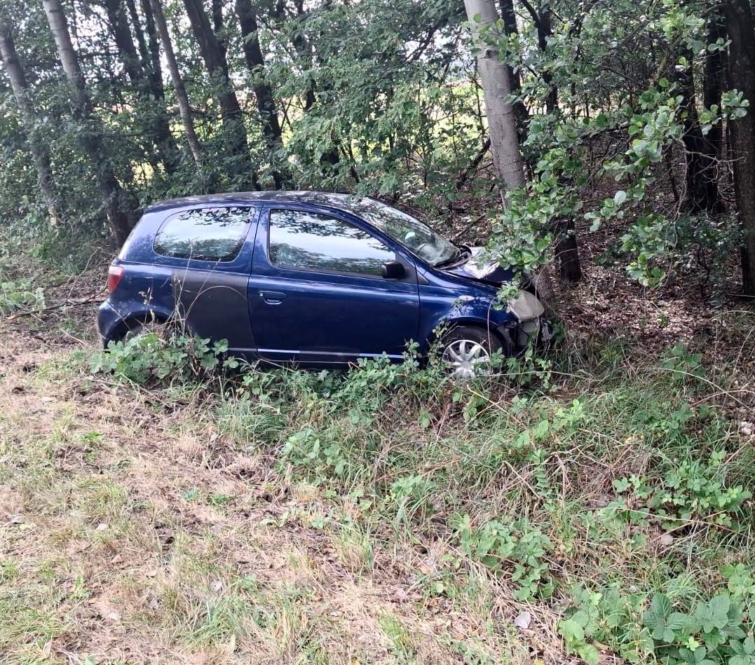 Zmęczenie za kierownicą mogło doprowadzić do groźnej kolizji w Żerdzi. Toyota uderzyła w drzewo