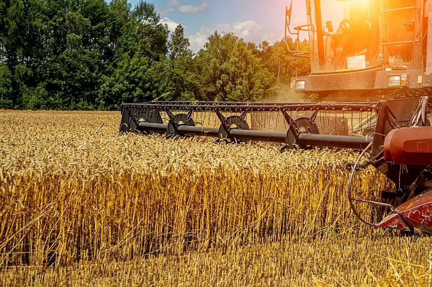 Zmiana klimatu i geopolityka destabilizują produkcję rolną. To zagrożenie dla bezpieczeństwa żywnościowego