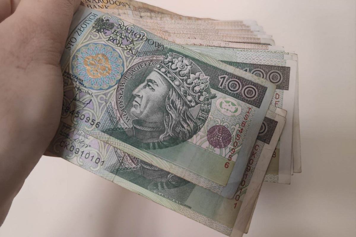 Mężczyzna trzyma w dłoni plik banknotów.