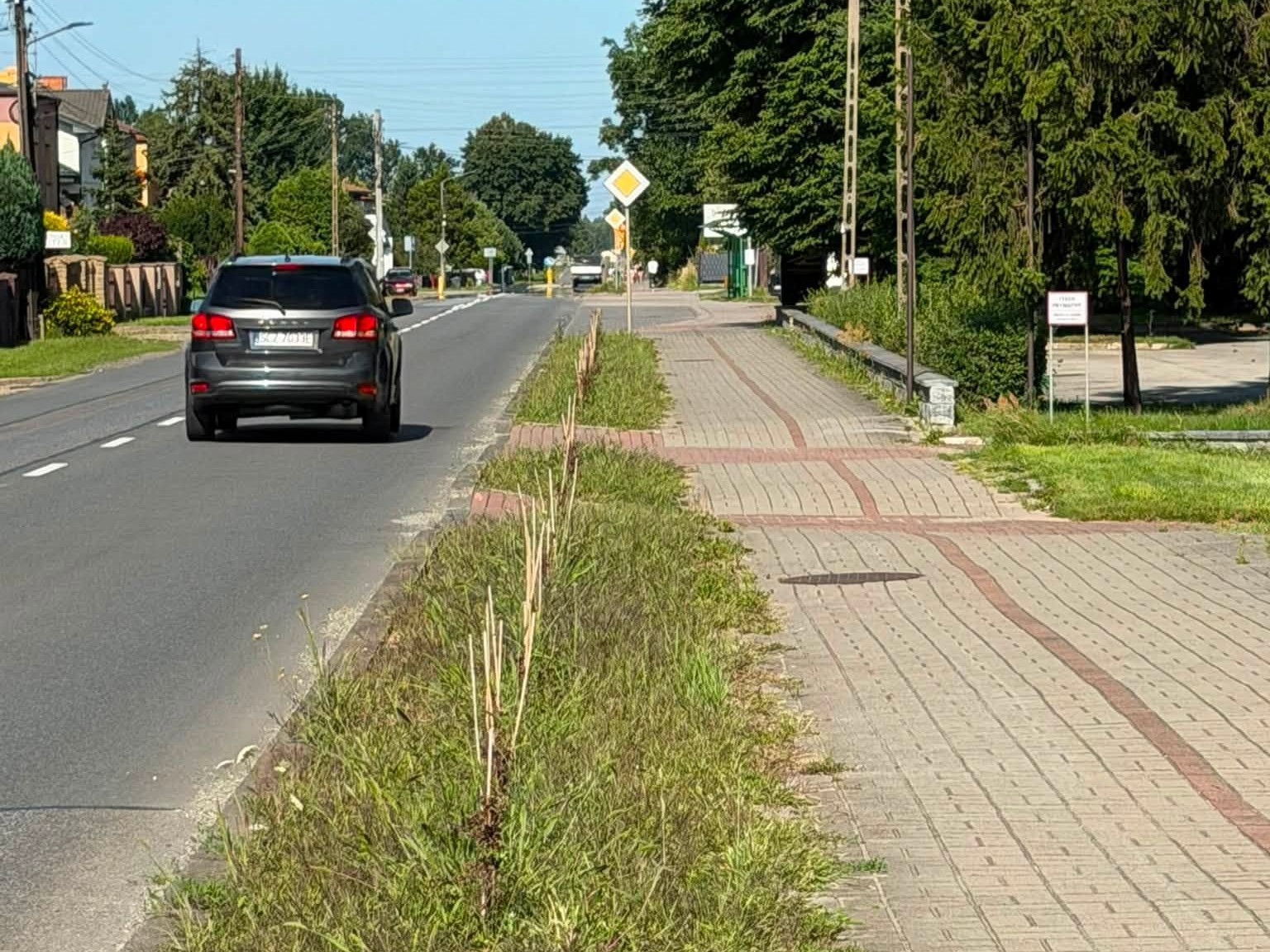 Zniszczona zieleń w Konopiskach. Co zrobić? – pyta wójt