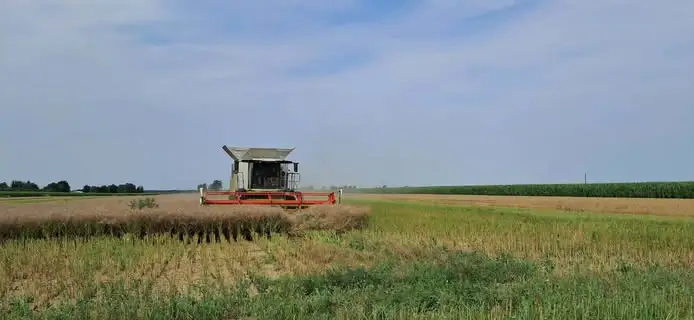 Żniwa w pełni – apel o ostrożność na drogach
