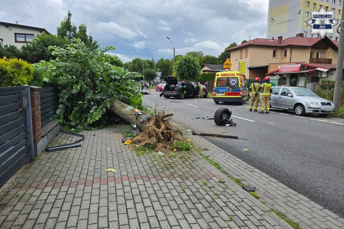 Żory: 54-latek stracił panowanie nad autem i wyrwał drzewo z korzeniami