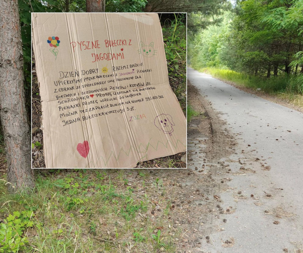 Leśna droga, a na wstawce karton z informacją o sprzedaży jagodzianek na cel charytatywny. Szczegóły w Eska Toruń.