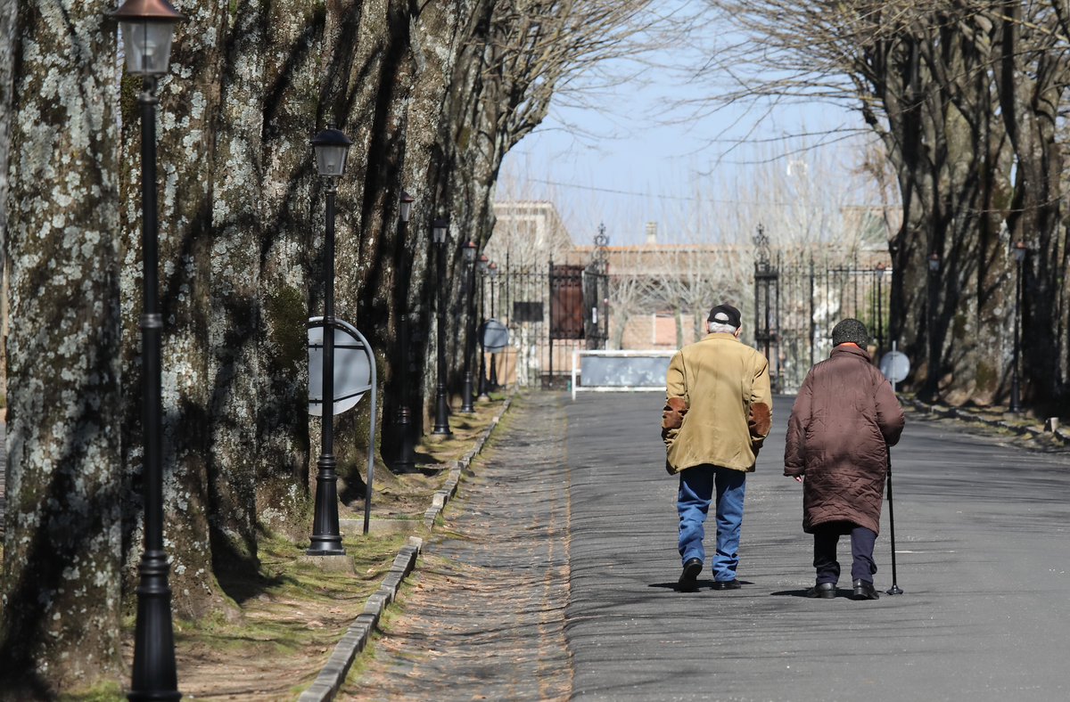 Związek między bakteriami jelitowymi a zespołem kruchości u seniorek?