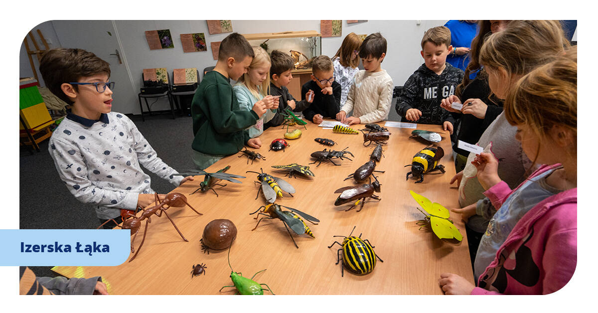 8 mini kampania grafiki do artykulu 6