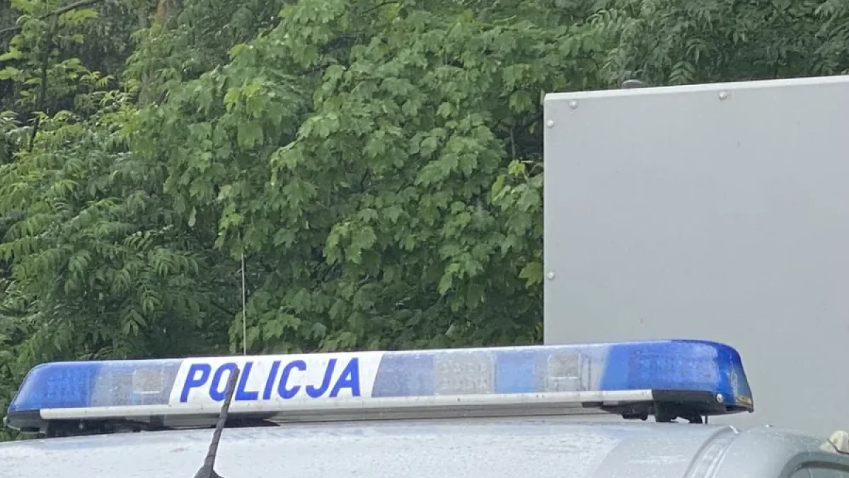 Zwierzę wtargnęło na jezdnię. Motocyklista z obrażeniami trafił do szpitala