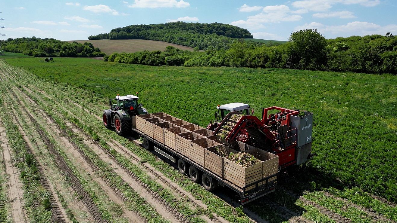 AI i biotechnologia dla rolnictwa. Konkurs dla start-upów pokazał kierunki rozwoju sektora agritech